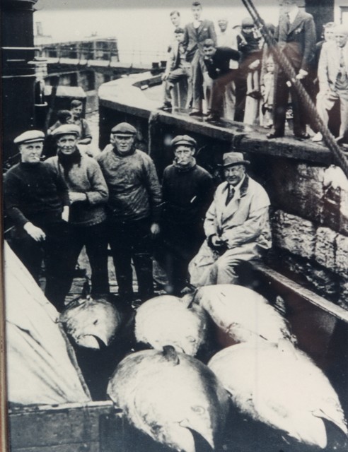 giant tuna at Scarborough 1930s