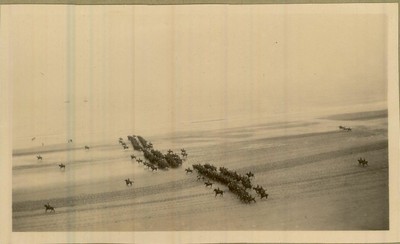 East Riding Yeomanry Filey Beach July 1915